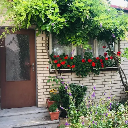 Prostorny Kousek Od Centra V Klidne Ctvrti, S Vyhledem Do Zahrady *