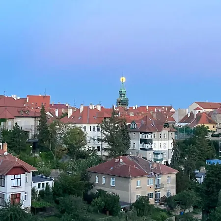 Prostorny Kousek Od Centra V Klidne Ctvrti, S Vyhledem Do Zahrady