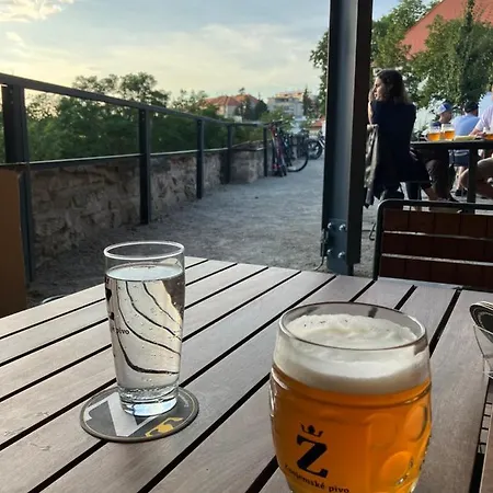Prostorny Kousek Od Centra V Klidne Ctvrti, S Vyhledem Do Zahrady