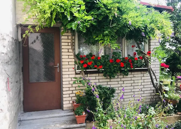 Garden *