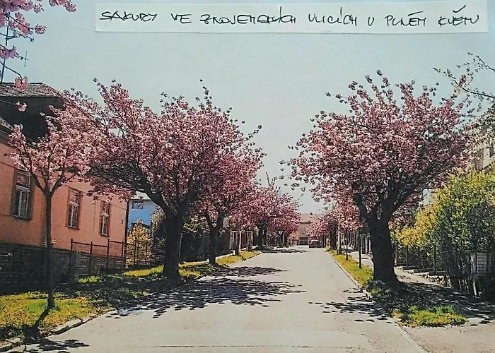 Daire Garden Znojmo